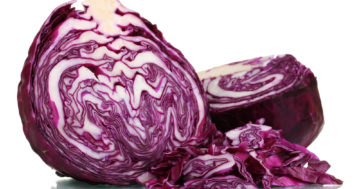 Red Cabbage 